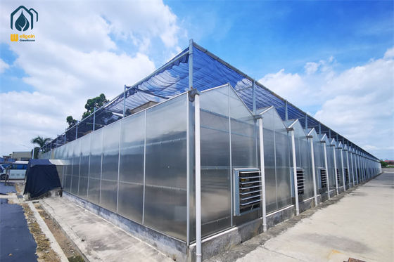 Un bon prix. Serres en polycarbonate résistant à la rouille pour la culture des herbes et le système hydroponique en ligne