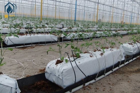 Un buen precio. Plantación de canales de drenaje de rollo de cultivo sin suelo rectangular en línea