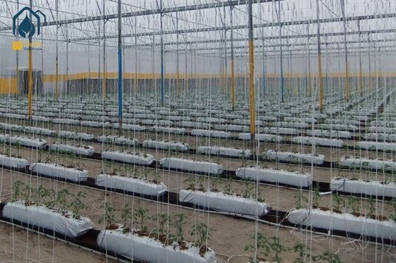 Хорошая цена. Cocopeat Гидропонические системы выращивания розы помидоры овощи онлайн