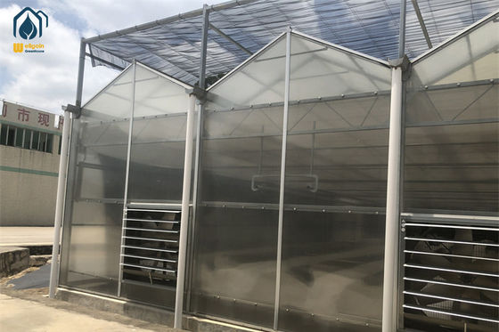 qualité Élevage biologique Serre à polycarbonate Serre à légumes d'intérieur usine