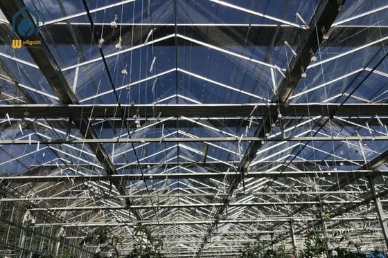 Un buen precio. Agricultura Hortalizas Flor de vidrio Invernadero Granja Invernaderos comerciales en línea