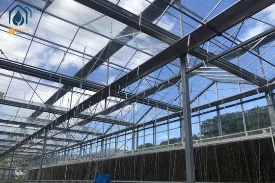 Harga yang bagus Peralatan Produksi Rumah Kaca Besar Pertanian Multi Span Untuk Tomat on line