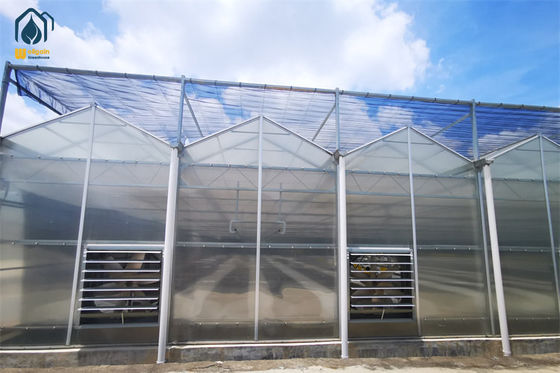 Ein guter Preis. Stahlrahmen großes Polykarbonat-Gewächshaus mit präziser Klimaanlage Online