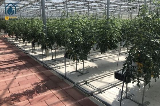 Good price Advanced Steel Gutter For Hydroponic And Substrate Steel Planting Systems online