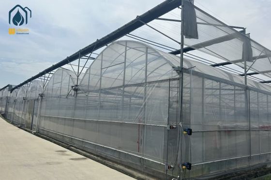 Harga yang bagus Rumah Kaca Multi Span Dengan Ventilasi & Pendinginan Desain Khusus Untuk Ladang Modern on line
