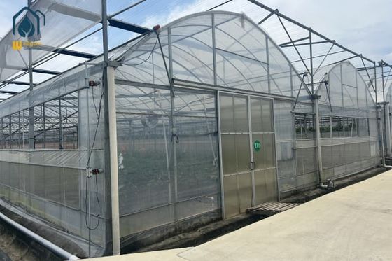 Un buen precio. Sistema de invernaderos multi-espans para tomates y pimientos maximiza el rendimiento de la cosecha en línea