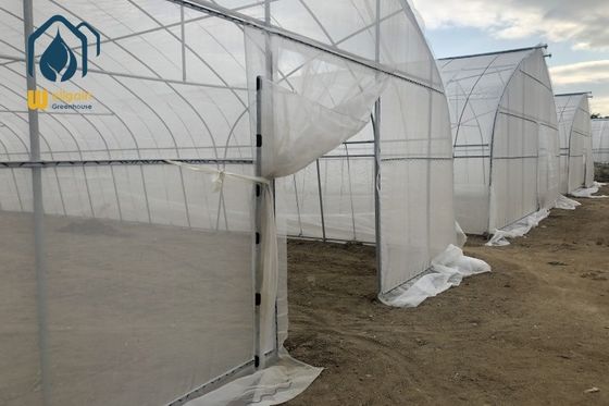 İyi bir fiyat. Ticari Endüstriyel Tek Aralıklı Yüksek Tünel Domates Plastik Tarımsal Sera çevrimiçi