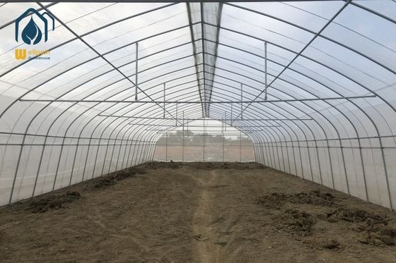 Harga yang bagus Pertanian Plastik Rumah Kaca Struktur rangka logam Single Span High Tunnel Pertanian Rumah Kaca Untuk Tanaman on line