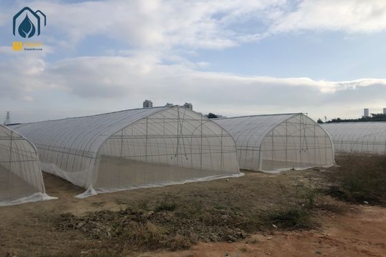İyi bir fiyat. Tünel Sera Tarım Serası Endüstriyel Hidroponik Domates ve Salatalık İçin çevrimiçi