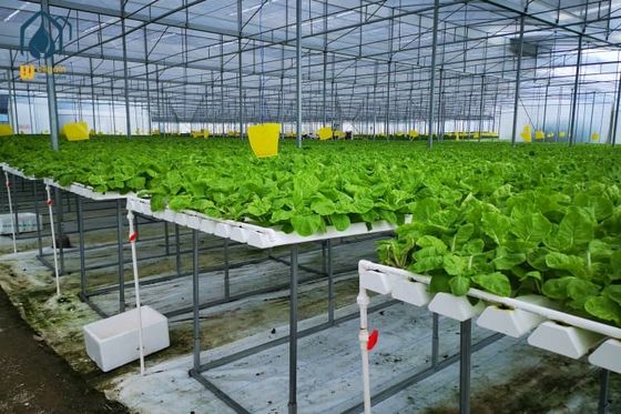 Ein guter Preis. Indoor Vertikal-Anbau NFT Hydroponik-System PVC-Rohr Anbausystem Online