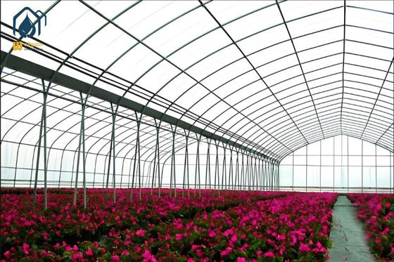Bom preço. Estrutura Pré-fabricada Comercial Túnel Modular Estufa de Filme Plástico para Agricultura on-line