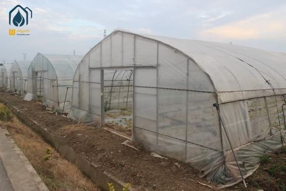 jakość Tuneł handlowy Zielonośrodkowe rolnictwo Tuneł poli dla wyższej produkcji roślin fabryka