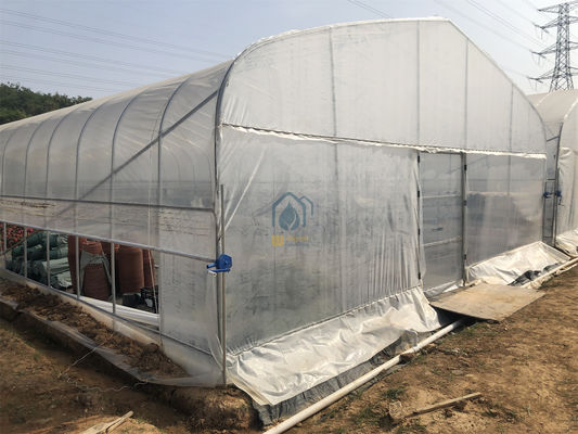 अच्छी कीमत लंबे जीवन काल पीई पीओ प्लास्टिक फिल्म रोल अप वेंटिलेशन सुरंग कृषि के लिए ग्रीन हाउस ऑनलाइन