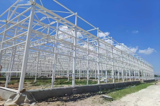 chất lượng Nhà kính phim nhựa đa chiều với cấu trúc kẽm nóng để trồng quả việt quất nhà máy sản xuất