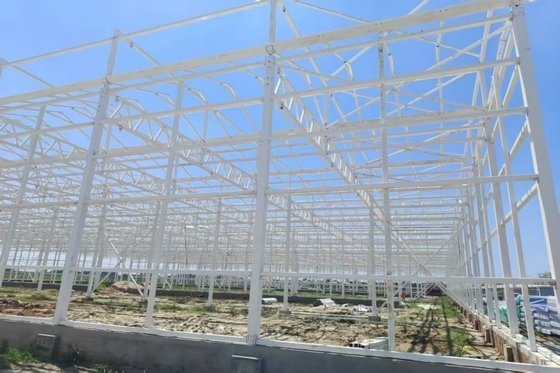 Qualität Schlüsselfertig Multi Span Film Gewächshaus Gewächshaus Struktur Gewerbliche Gewächshausrahmen für Pflanzen usine