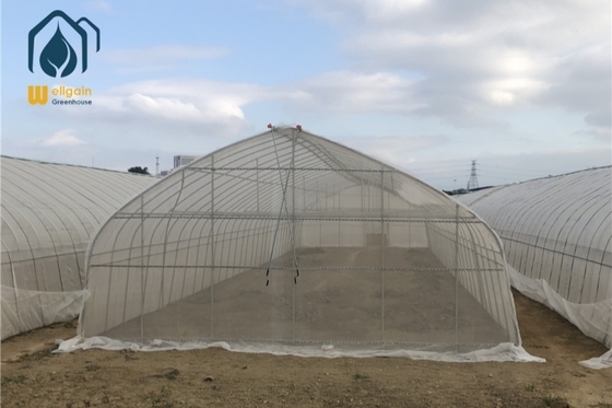 Good price Full Open Roof Ventilation Tunnel Type Greenhouse for Agricualtural Farming online