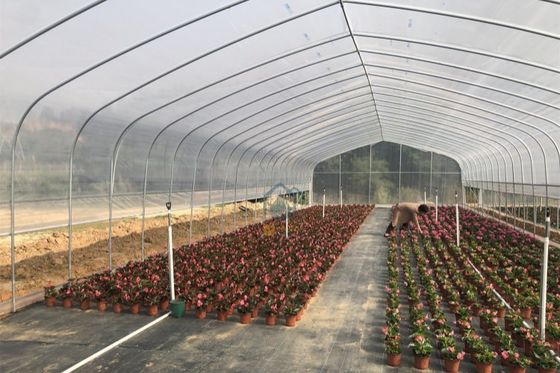 Good price Hot-Dip Galvanized Agricultural Greenhouses and Farm Tunnel Greenhouse Plastic Film Cultivation For Hydroponic Planting online