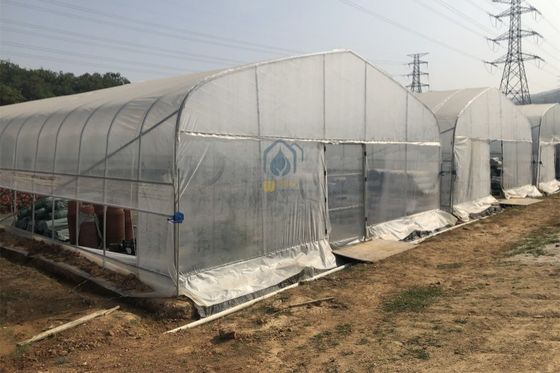 Good price Customized Size Durable Agricultural Tunnel Type Greenhouse Solar Dryer Greenhouse with UV Treated Plastic Film online