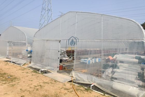 Good price Heat Preservation and Rain protection Vegetables Fruit High Tunnel Walk-in Greenhouse for Vegetables online