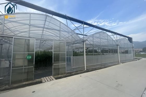 Good price Multi Span Greenhouse Indoor Vegetable Greenhouse For Herb Cultivation online