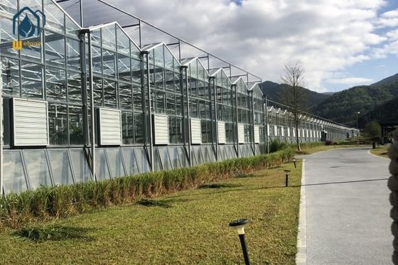 Good price Agricultural Glass Greenhouse For Year Round Vegetable Flowers Harvests online