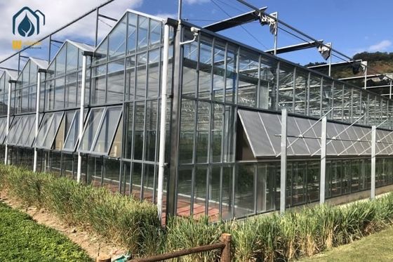 Good price Transparent Hydroponic Glass Greenhouse For Year Round Organic Vegetables online