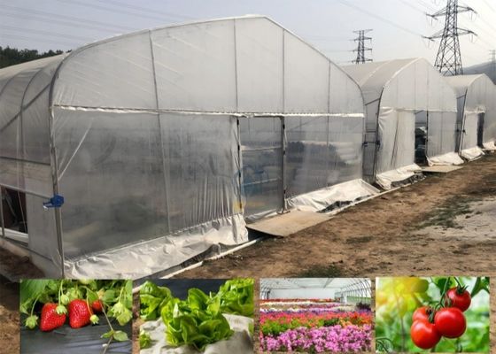 Bom preço. Estufa túnel pré-fabricada de filme PE à prova d'água, fácil de montar, de vão único, para morango, tomate e flor on-line
