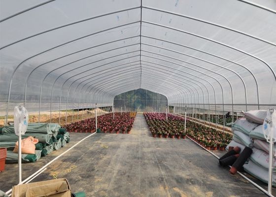 Good price Polytunnel Tunnel Single Span Economic Agricultural Tomato And Strawberry Greenhouse for Smart Hydroponic Sustainable Farming online