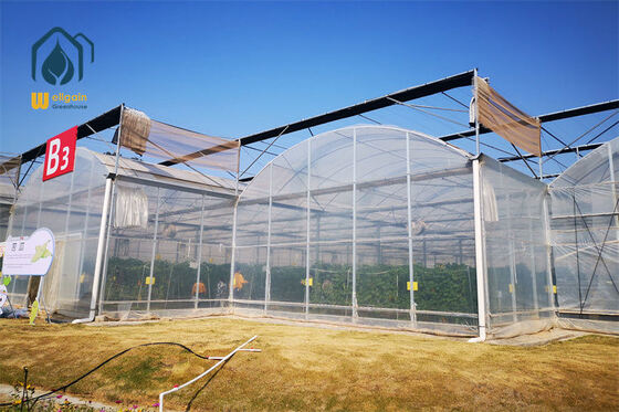 Un buen precio. Control de temperatura agrícola del invernadero del palmo multi para las cosechas durante todo el año en línea