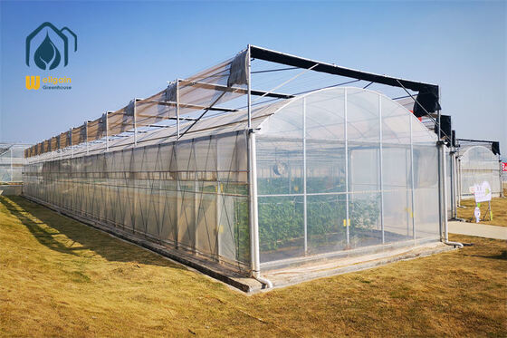 Un buon prezzo. Serre agricola multi-campata Serre per la produzione commerciale in linea