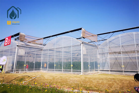 quality Multi Span Temperature Control Greenhouse Commercial Greenhouse Frame System factory