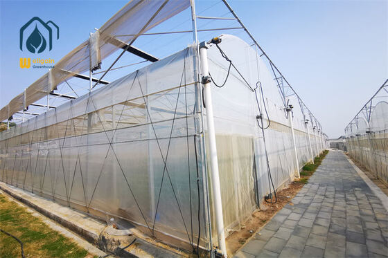 Goede prijs. Kas met hoge lichtdoorlatendheid met meerdere overspanningen, goede ventilatie en sterke structuur voor kruiden- en groenteteelt online