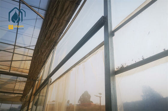 Un buon prezzo. Serra multi-campata ad alta trasmissione luminosa con buona ventilazione e struttura robusta per la produzione agricola su larga scala in linea