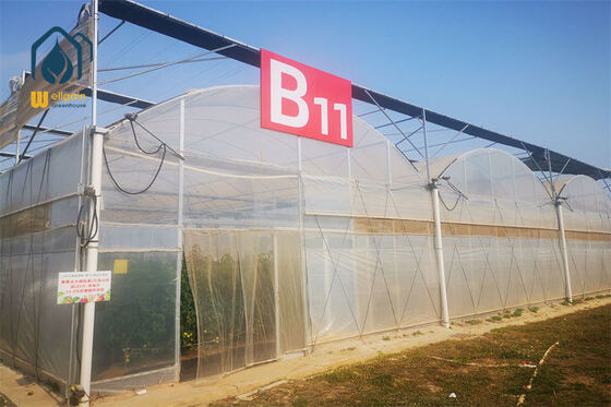 İyi bir fiyat. Yüksek Işık Akışkanlığı UV Stabilize PE Film Multi Span Sera Ölçüleri Ölçeklenebilir Tarımsal Üretim için Özelleştirilebilir çevrimiçi