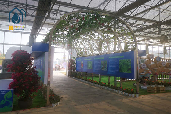 Good price High Light Transmittance Multi Span Greenhouse with Good Ventilation and Strong Structure for Commercial Farming online