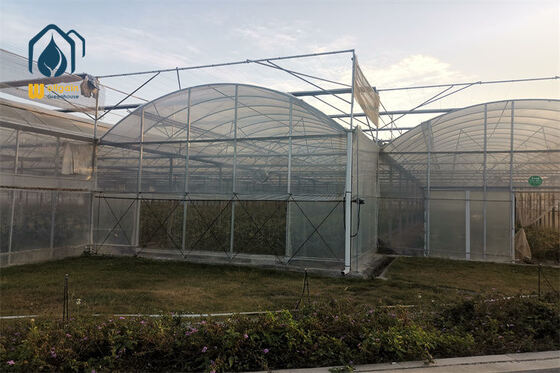 ราคาดี เรือนกระจกหลายช่วงเชิงพาณิชย์ทุกฤดูกาลพร้อมไฟ LED Grow Light เสริม ออนไลน์