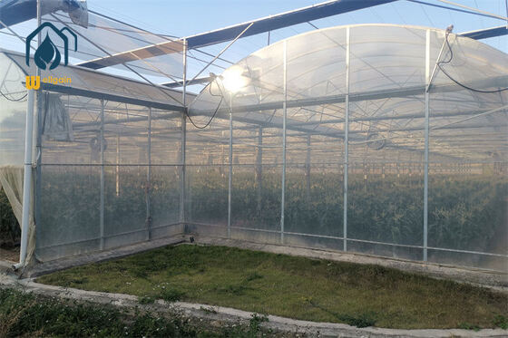Bom preço. Estufa multi-span anti-afídeo 40 malha de nylon à prova de insetos para cultivo de vegetais orgânicos... on-line