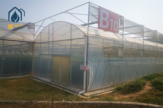 Un buon prezzo. Serra multi-span cristallina ad alta trasparenza per la crescita di fiori e piantine... in linea