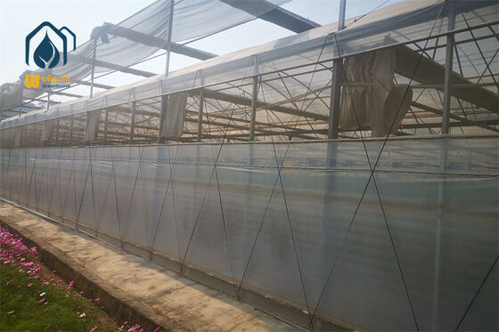 Qualidade Estufa agrícola de vários vãos feita sob medida com opções flexíveis de comprimento e altura... fábrica