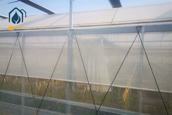गुणवत्ता उष्णकटिबंधीय जलवायु वेलगेन कृषि ग्रीनहाउस समाधान के लिए प्राकृतिक वेंटिलेशन सॉटूथ डिज़ाइन मल्टी स्पैन ग्रीनहाउस फैक्टरी
