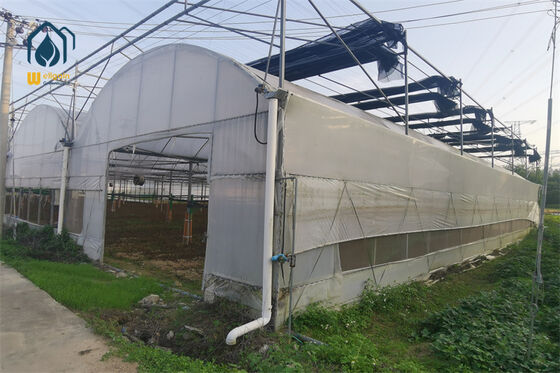 Qualità Serra in film PE resistente ai raggi UV a doppio strato con isolamento termico superiore Soluzione per serre agricole WELLGAIN fabbrica