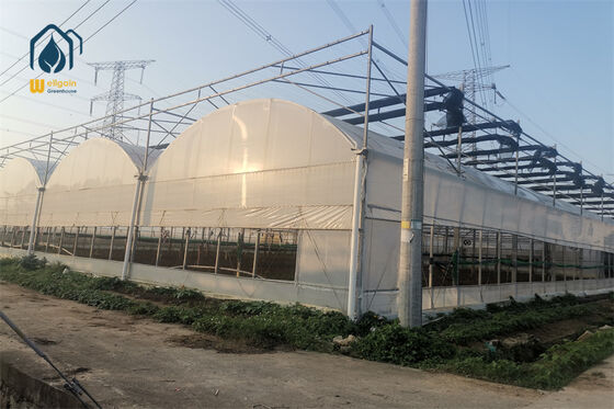 Kwaliteit UV-bestendige 200 micron PE-film Multi-Spankas voor landbouw op grote hoogte... fabriek