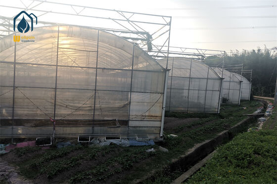 Calidad Invernadero de Película de PE Multicubierta para Producción de Hortalizas a Gran Escala fábrica